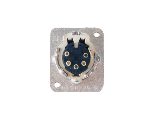5 Pin Male XLR Male Back